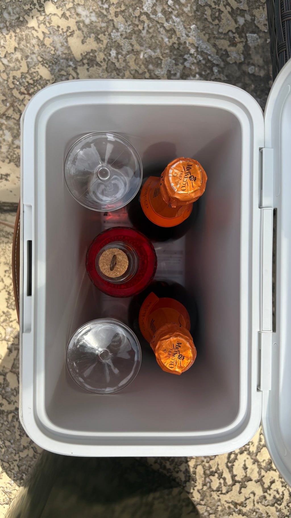Frankie Cooler